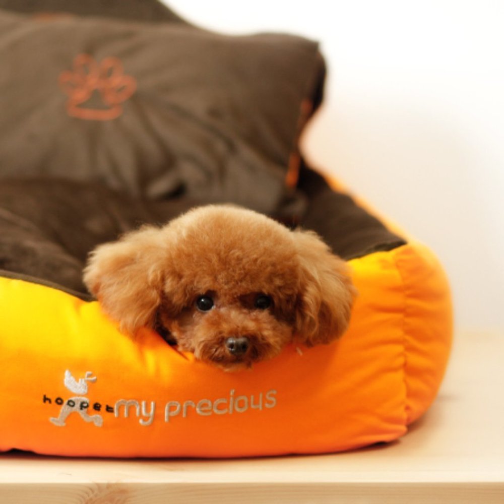 Washable Bed w Free Pillow & Blanket for Pet Dog - Picture 2 of 12